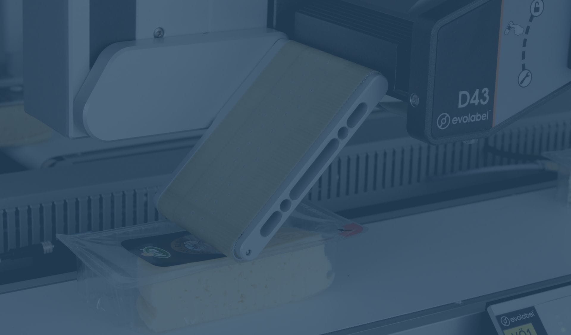 Evolabel D43 Belt Applicator applying a label to a food product